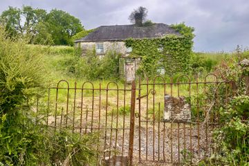 Farrow, Bunbrosna, Co. Westmeath — photo 2