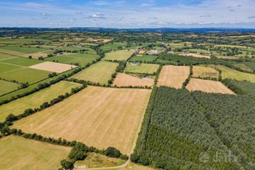 Lot 2 - Land At Newtown, Bonnettstown, Co. Kilkenny, Tullaroan, Co. Kilkenny — photo 3