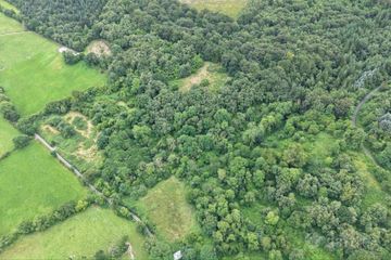 Lands At Kylatlea, Mullinahone, Co. Tipperary, E41R295 — photo 3