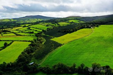 Lisnageenly, Dolla, Co. Tipperary