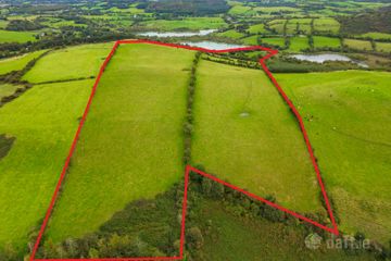 Ben of Fore, Castlepollard, Co. Westmeath