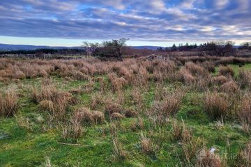 Owenwee, Westport, Co. Mayo — photo 3