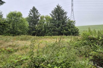 Site At Ballinbrittig,, Ballinbrittig,, Carrigtwohill, Cork, T45NY39 — photo 3