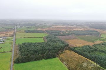 Shrone, Rathmore, Co. Kerry — photo 3
