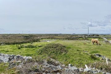 IMG_4847.jpg