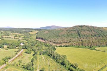 Saddle Hill, Blessington, Thomastown, Co. Kilkenny — photo 3