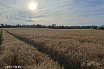 Rathdaniel, Collon, Co. Louth — photo 2