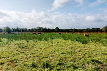 Ayle, Feakle, Co. Clare