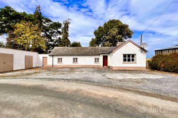 Cam, Brideswell, Brideswell, Co. Roscommon — photo 2