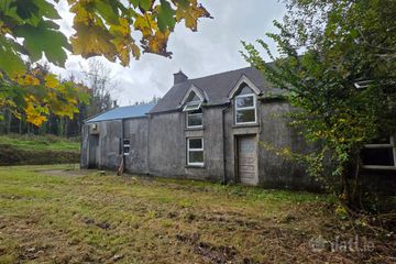 Haremount, Kilmichael, Kilmichael, Co. Cork, P12H599 — photo 2