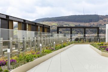 ROOF GARDEN