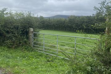 Currinree, Corries, Bagenalstown, Co. Carlow — photo 2