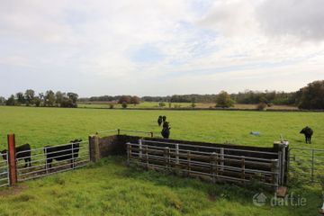 Monivea Demesne, Monivea, Co. Galway — photo 2