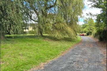 Wells,, Bagenalstown,, Co. Carlow, R21K256 — photo 3