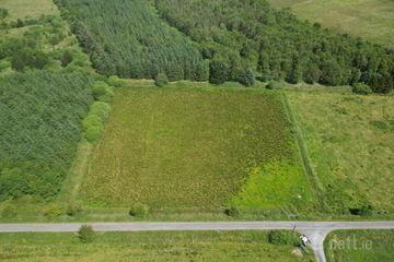 Residential Holding On, C.20 Acres (Can Be Sold Seperately), Slieveroe, Frenchpark, Co. Roscommon — photo 3