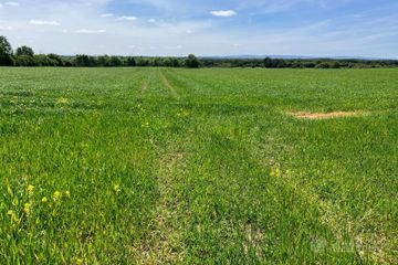 Clonmore, Tullamore, Co. Offaly — photo 3