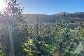 Knockroe, Borris, Co. Carlow — photo 3
