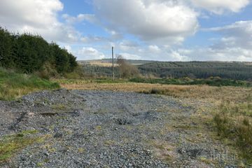 Inchadrinagh, Newport, Co. Tipperary — photo 2