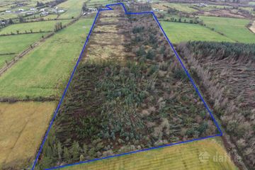 C. 20.88 Acres, Foughil, Trien, Castlerea, Co. Roscommon — photo 3