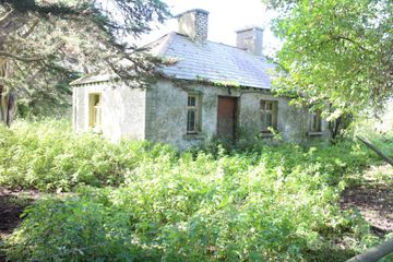 Endrim, Ferbane, Co. Offaly — photo 3