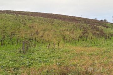 Drumcoo, Tydavnet, Co. Monaghan — photo 3