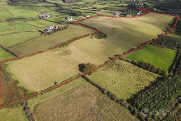 Land For Sale 33 Acres Kingscourt Folio Cn 6678f, Moyar, Kingscourt, Co. Cavan — photo 3