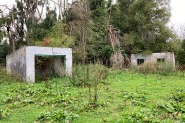 Dromsallagh, Cappamore, Co. Limerick — photo 3