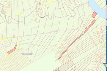 Carrickynaghtan And Garrynagawna Bog, Athlone, Co. Roscommon, Athlone, Co. Roscommon