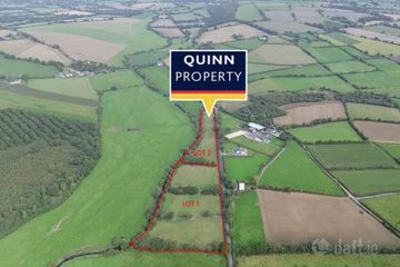 Ballingate (C. 12 Acres), Carnew, Co. Wicklow