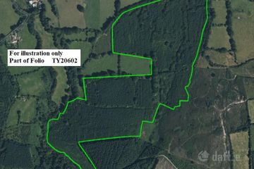 c.53 acres Forrest, Rearoe, Clogheen near, Mitchelstown, Co. Cork — photo 2