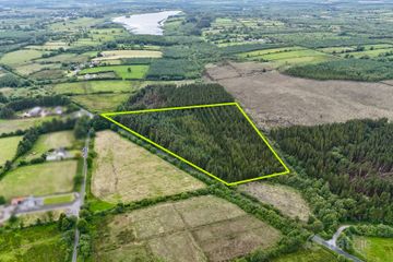c.8.58 acres of mature forestry at Ballyglass East, Loughglynn, Co. Roscommon
