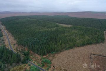 C. 53.3 Acres Of Forestry, Castlehill, Ballycroy, Co. Mayo — photo 3