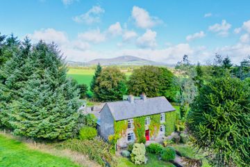 Monamolin, Rathnure, Co. Wexford, Y21T253