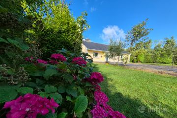 Snip Snip, Ballintleva, Clogher, Westport, Co. Mayo, F28DK35 — photo 3