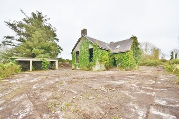 The Old School House, Kilbaha, Moyvane, Co Kerry — photo 3