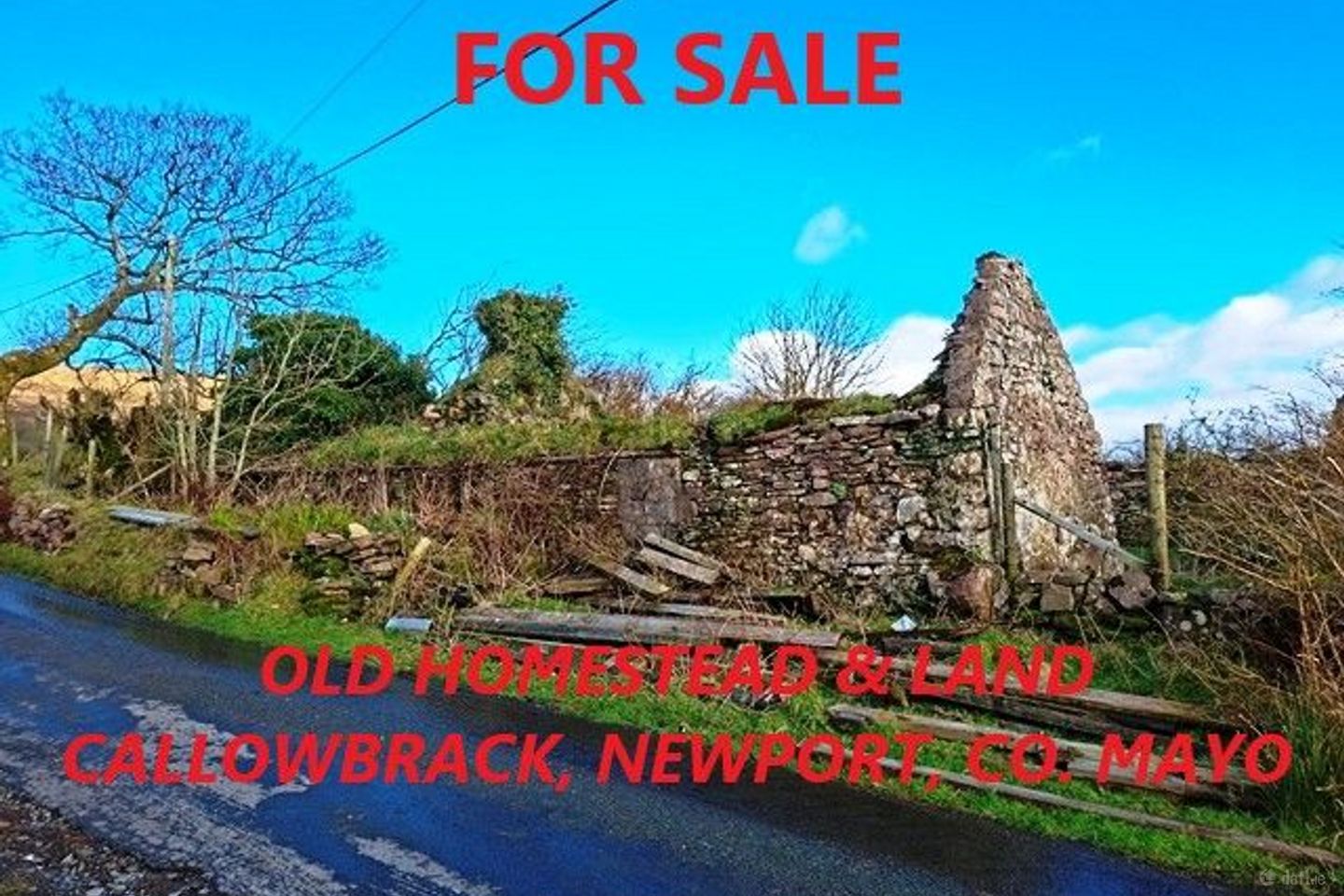 Callowbrack, Newport, Co. Mayo — photo 1