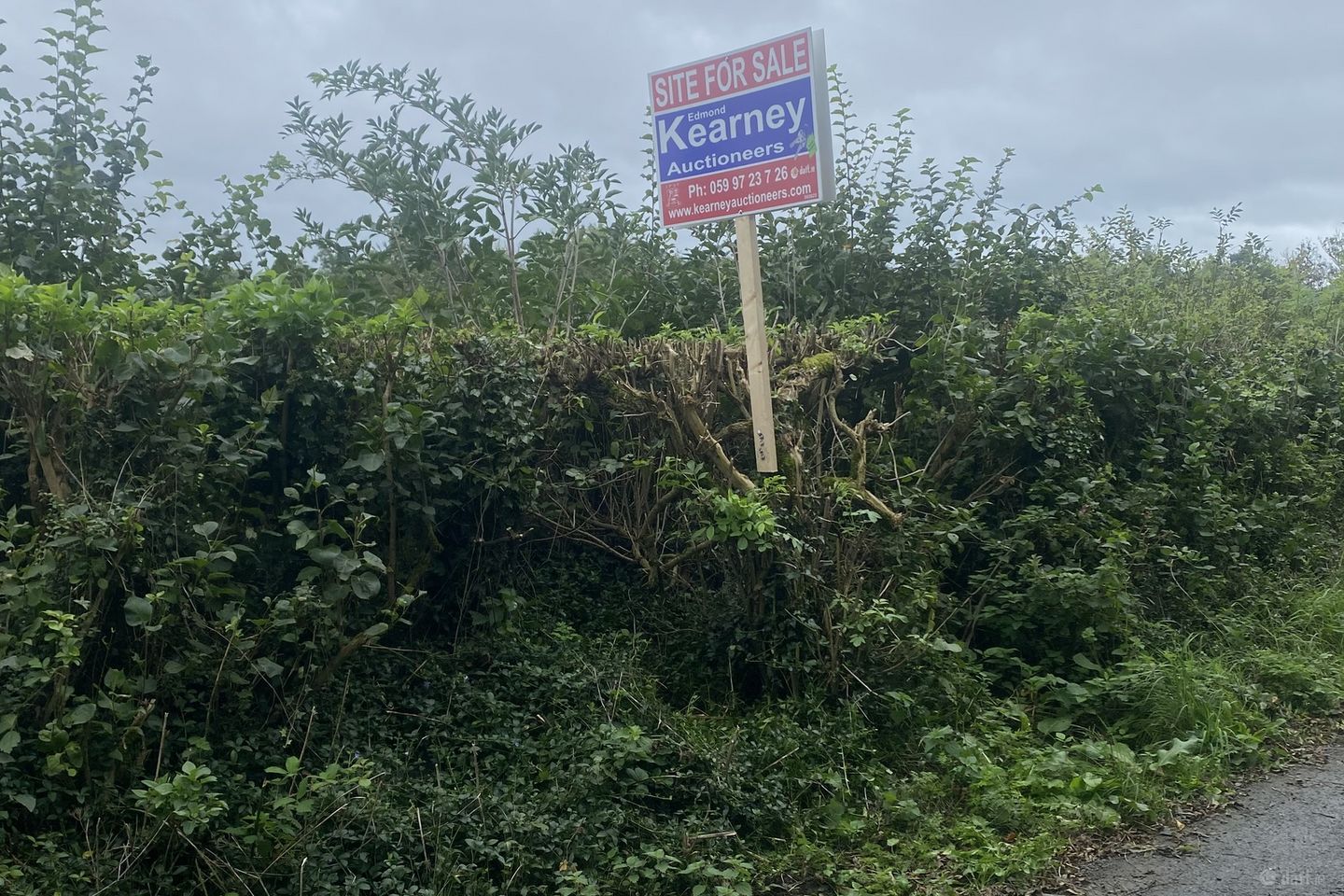 Currinree, Corries, Bagenalstown, Co. Carlow — photo 1
