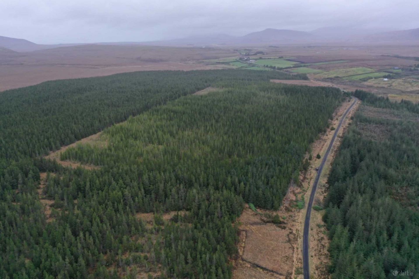 C. 53.3 Acres Of Forestry, Castlehill, Ballycroy, Co. Mayo — photo 1