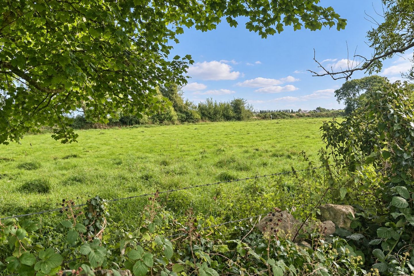 Barbersfort, Barnaderg, Co. Galway — photo 1