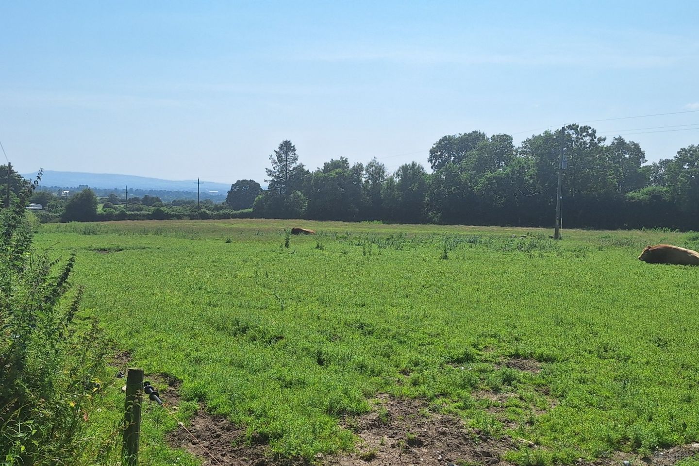 .75 Acre Site, Kilcarrig,, Bagenalstown,, Co. Carlow — photo 1