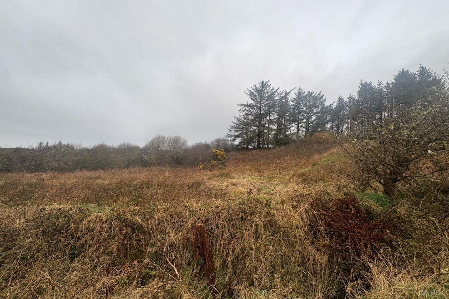 Slievenagry, Kilshanny, Co. Clare — photo 1