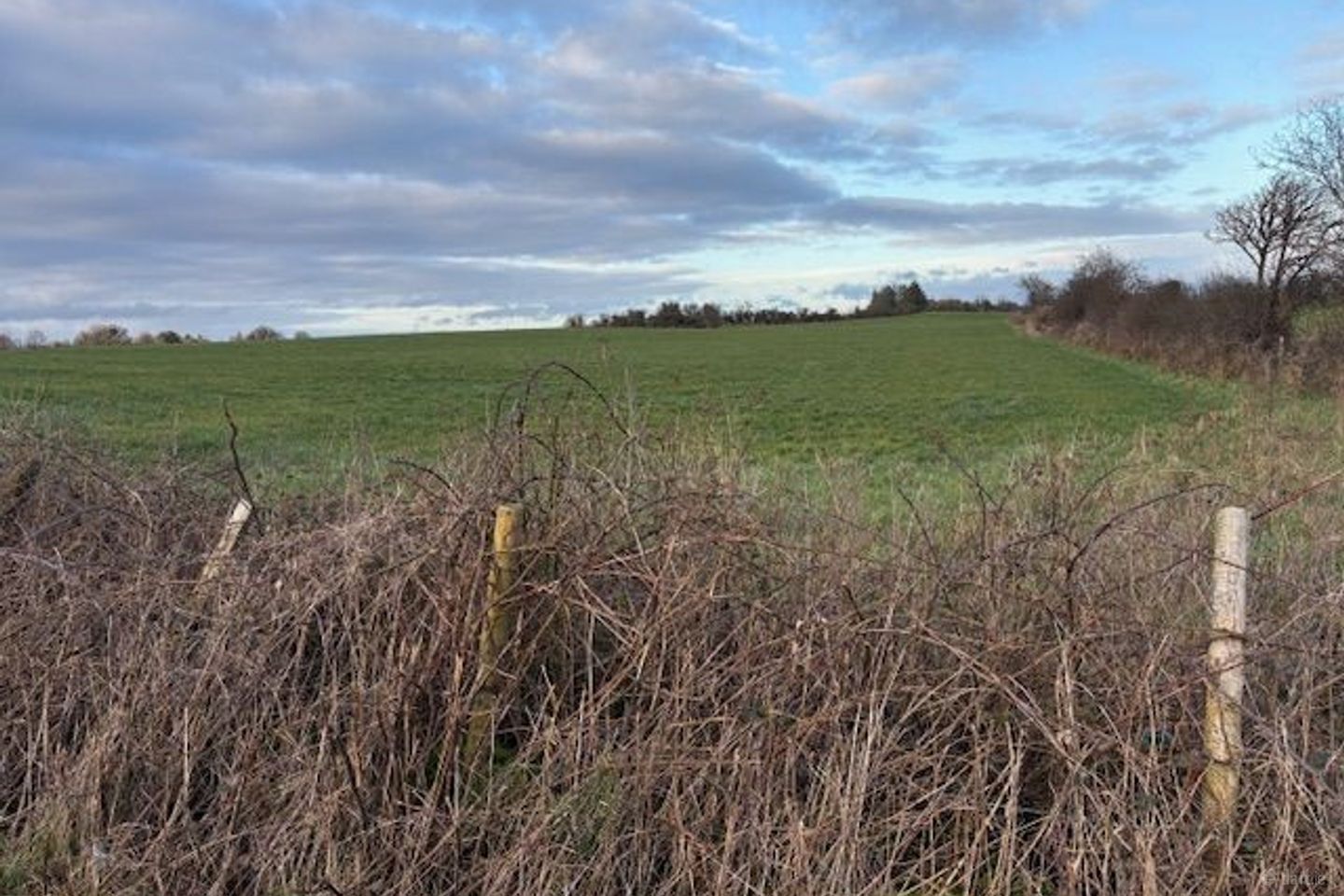 Ballyvary, Castlebar, Ballyvary, Co. Mayo — photo 1