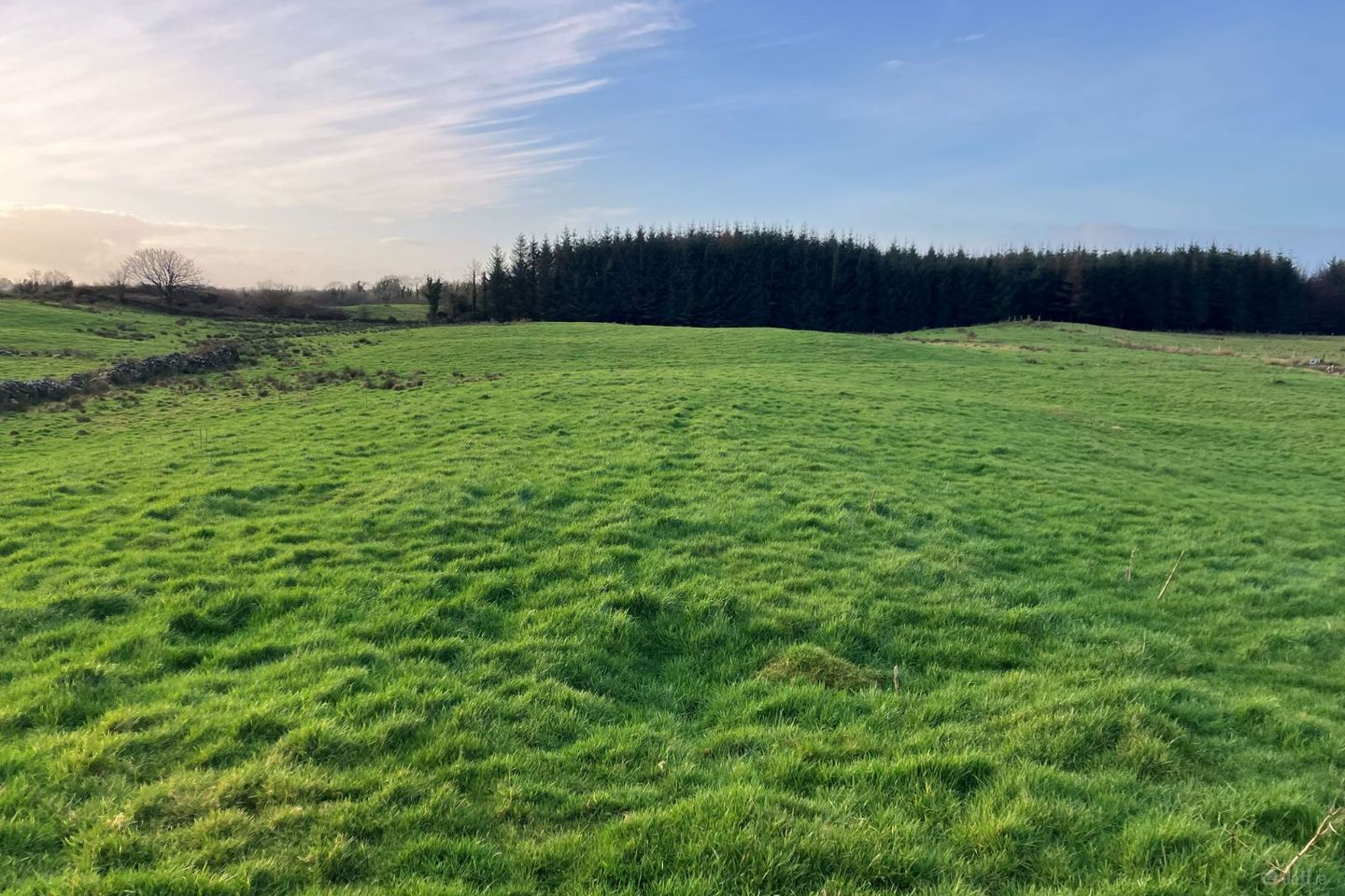 Curraghaun, Dunmore, Dunmore, Co. Galway — photo 1