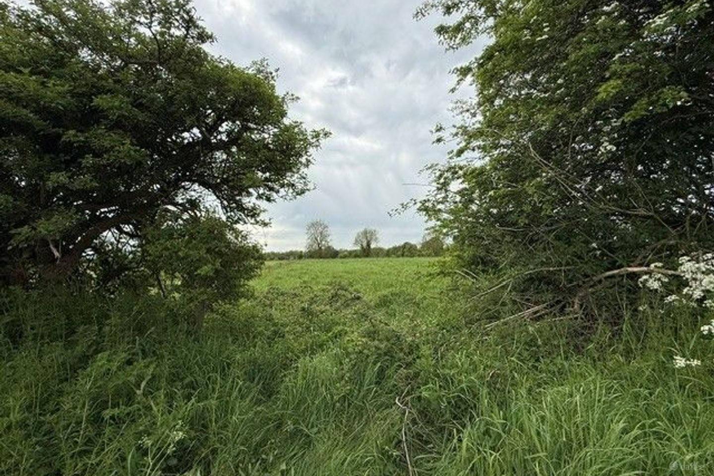 Ardanreagh, Holycross, Co Limerick, Holycross, Co. Limerick — photo 1