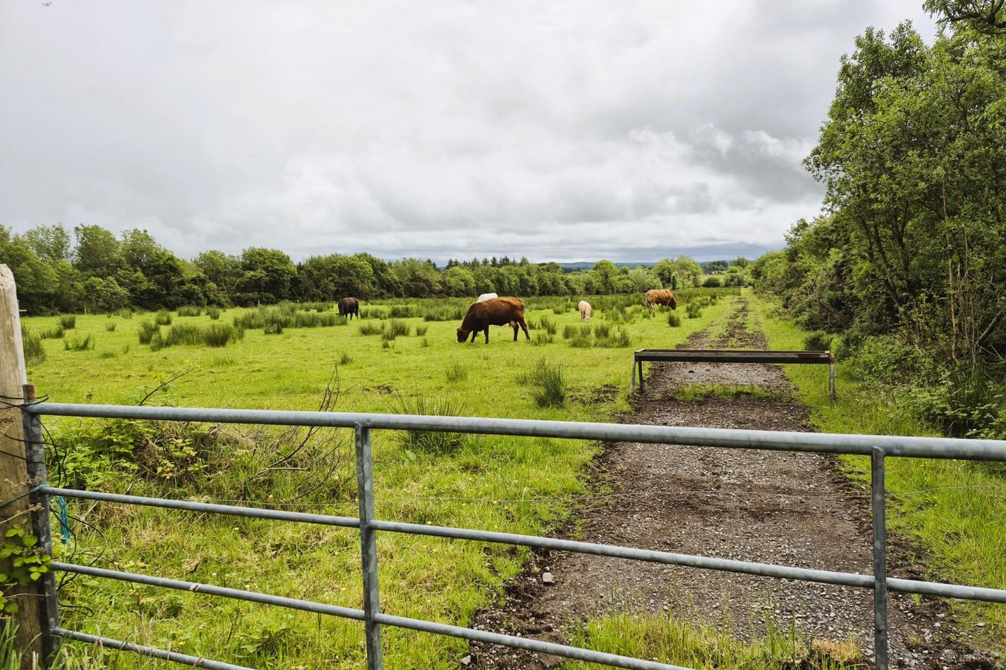 Sargura, Charlestown, Bellaghy, Co. Sligo — photo 1