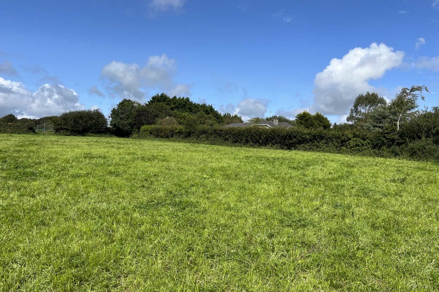 Creagh, Gorey, Co. Wexford — photo 1