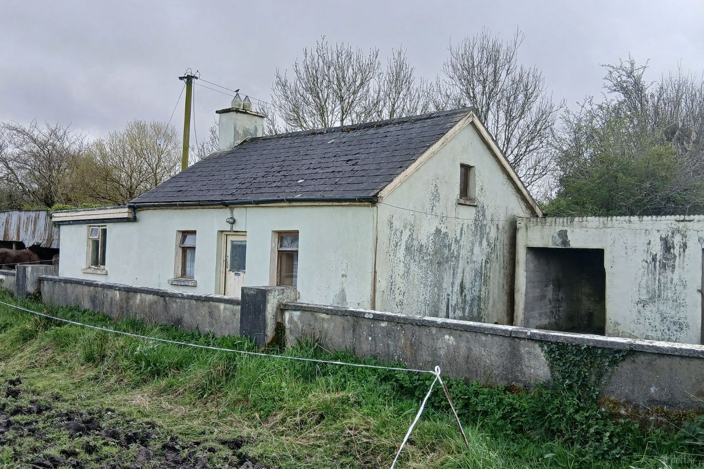 Lyredaowen, Rathmore, Millstreet, Co. Cork, P51KRC4 — photo 1