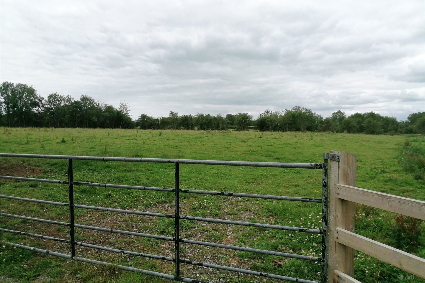 1 Acre Site, Kilkea, Ballyvass, Co. Kildare — photo 1