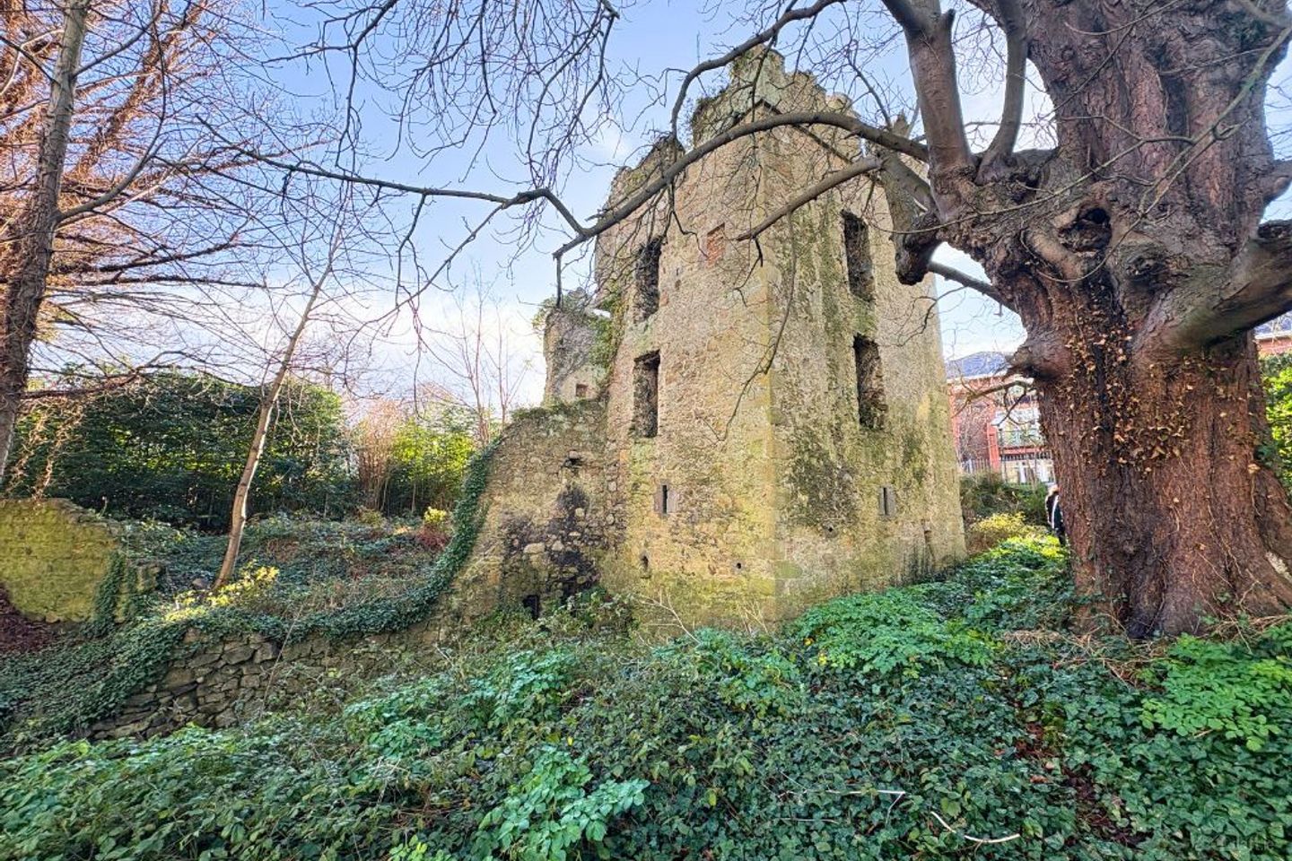 Dundrum Castle, Dundrum, Dublin 14 — photo 1