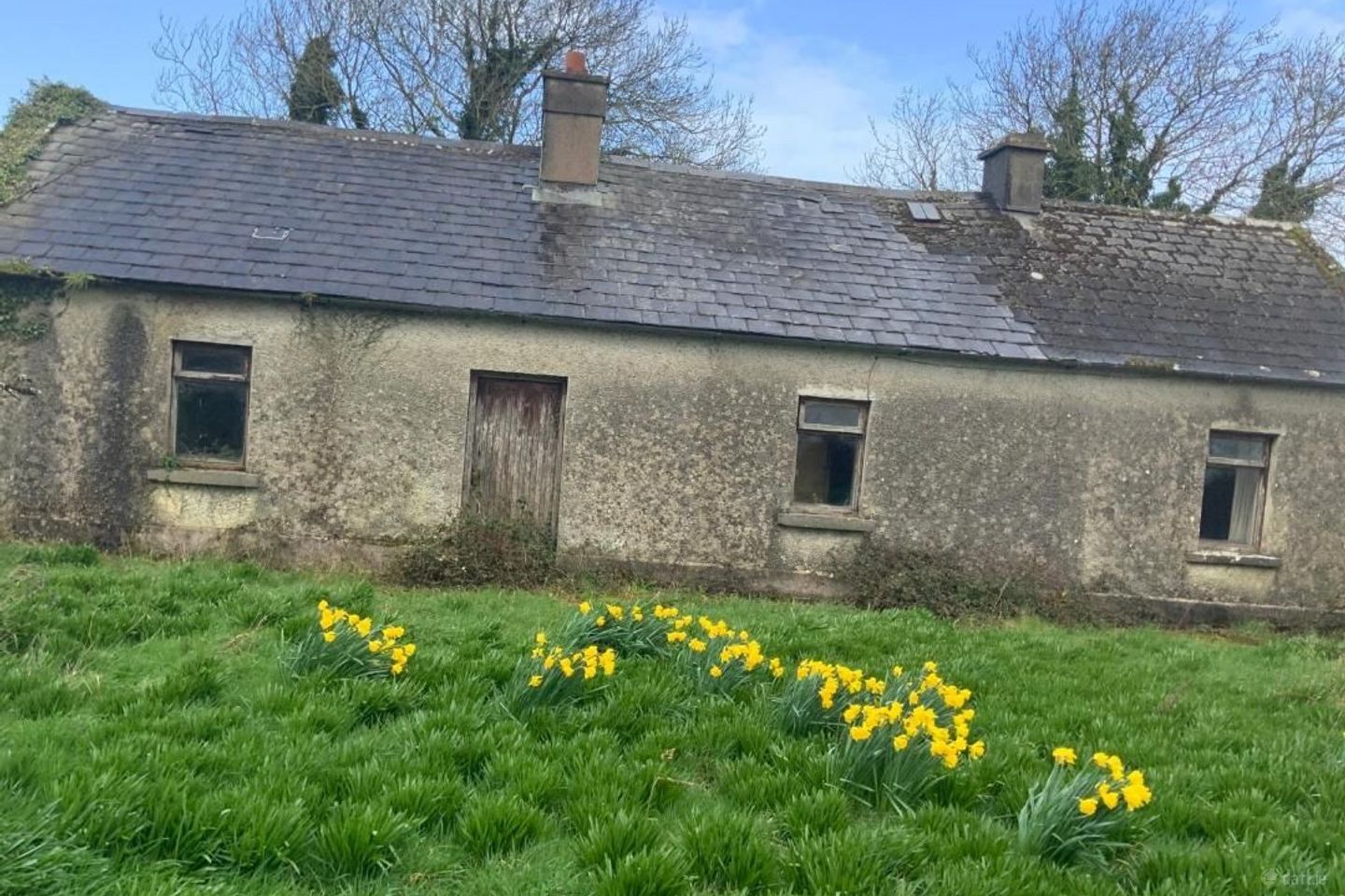 Mulderricksfield, Askeaton, Foynes, Co. Limerick, V94W3P8 — photo 1